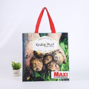 Other Gift Packaging In‑Stock Woven Shopping Bag – 3D Supermarket Gift & Advertising Tote, Laminated Waterproof, Heavy‑Duty Storage