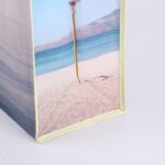 Other Gift Packaging Custom Printed Laminated Non-Woven Bag / Eco-Friendly Shopping Tote