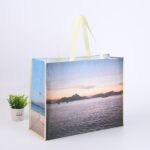Other Gift Packaging Custom Printed Laminated Non-Woven Bag / Eco-Friendly Shopping Tote