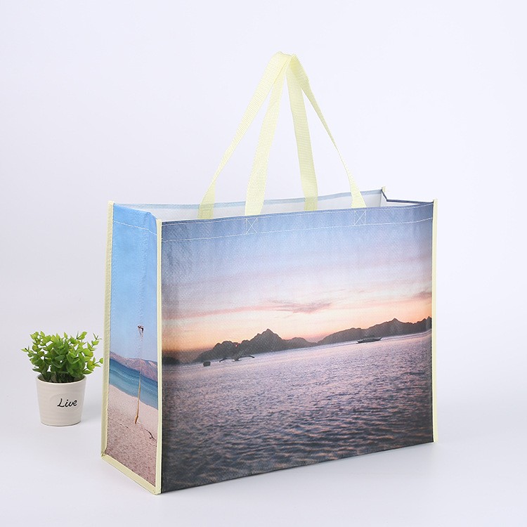 Other Gift Packaging Custom Printed Laminated Non-Woven Bag / Eco-Friendly Shopping Tote