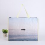 Other Gift Packaging Custom Printed Laminated Non-Woven Bag / Eco-Friendly Shopping Tote