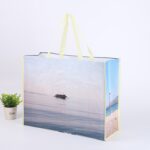 Other Gift Packaging Custom Printed Laminated Non-Woven Bag / Eco-Friendly Shopping Tote